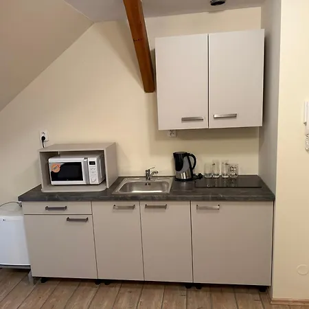 Renerovka 93 Guest house