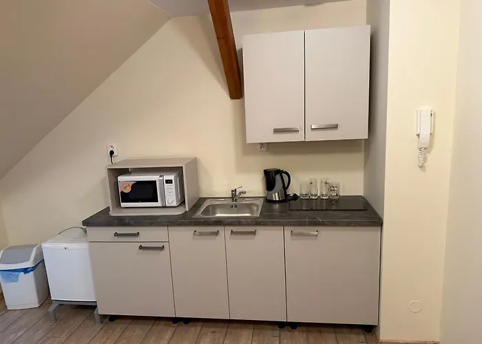 Renerovka 93 Guest house